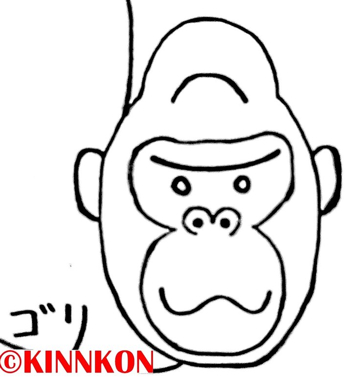 ゴリラの画像