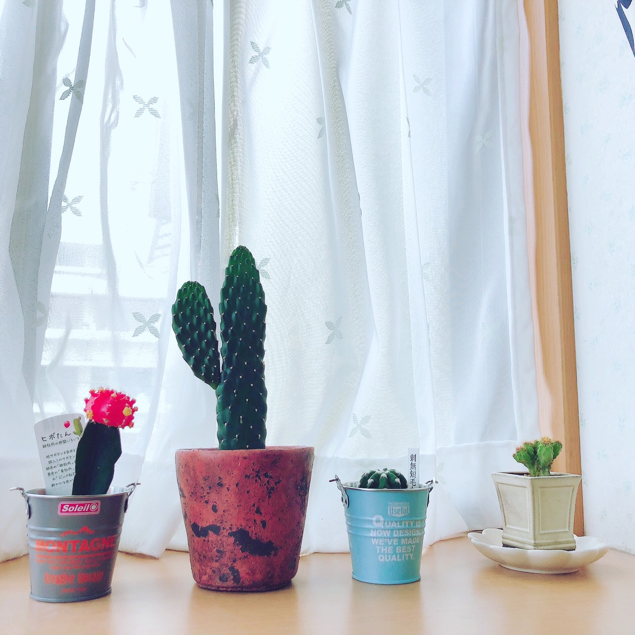 風景