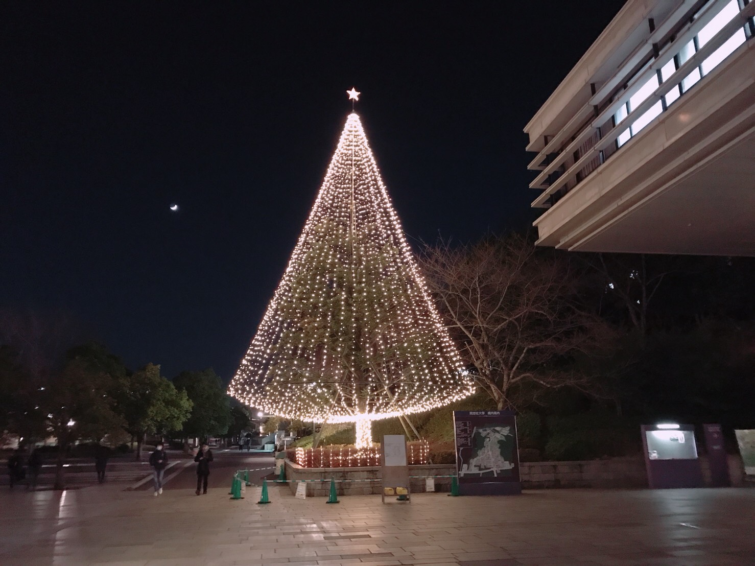 クリスマスツリー